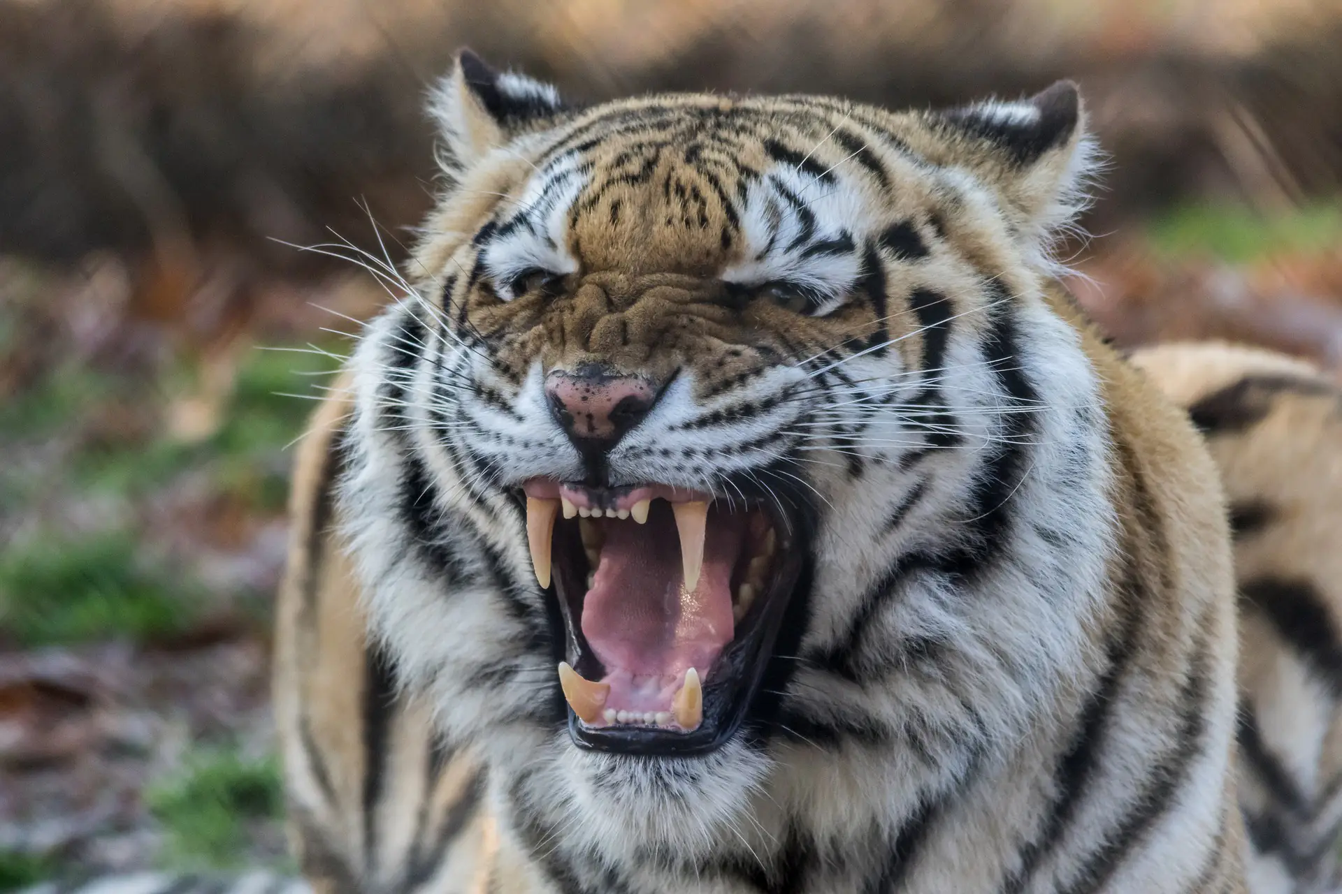 Anaxco Blog Beitrag Bild Jäger IT-Services IT-Dienstleister IT-Lösungen Cybersecurity Digitalisierung Anaxco Blog Beitrag Bild Jäger IT-Services IT-Dienstleister IT-Lösungen Cybersecurity Digitalisierung